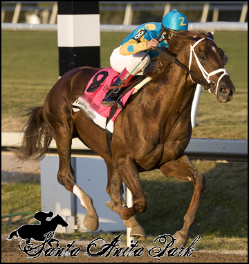 //santa-anita.gportal.hu/portal/santa-anita/image/gallery/1279022611_86.png