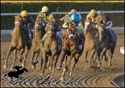 //santa-anita.gportal.hu/portal/santa-anita/image/gallery/1279024263_84.png