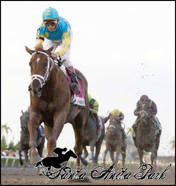 //santa-anita.gportal.hu/portal/santa-anita/image/gallery/1279024282_09.png