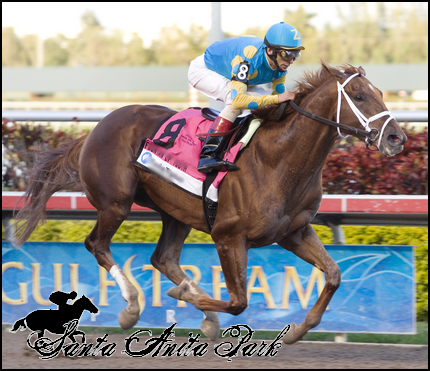 //santa-anita.gportal.hu/portal/santa-anita/image/gallery/1279024313_02.png