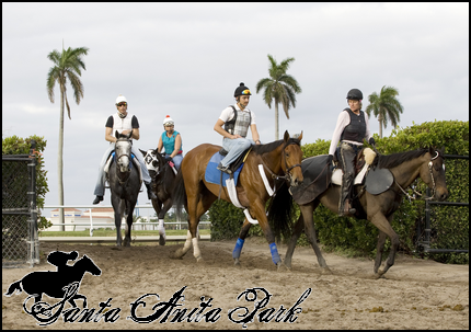 //santa-anita.gportal.hu/portal/santa-anita/image/gallery/1279026301_58.png