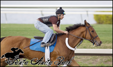 //santa-anita.gportal.hu/portal/santa-anita/image/gallery/1279026423_13.png