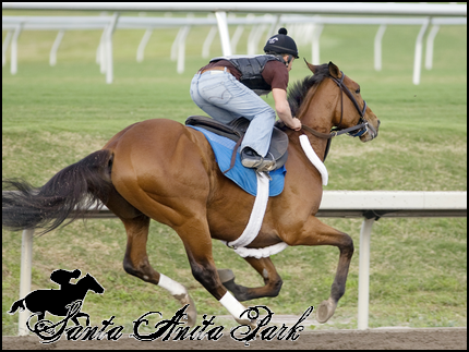 //santa-anita.gportal.hu/portal/santa-anita/image/gallery/1279026450_90.png