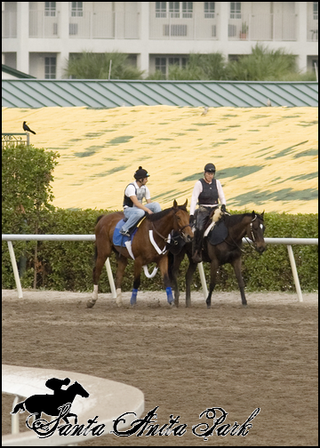 //santa-anita.gportal.hu/portal/santa-anita/image/gallery/1279026537_57.png