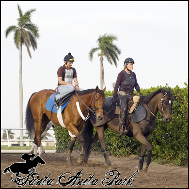 //santa-anita.gportal.hu/portal/santa-anita/image/gallery/1279026561_30.png