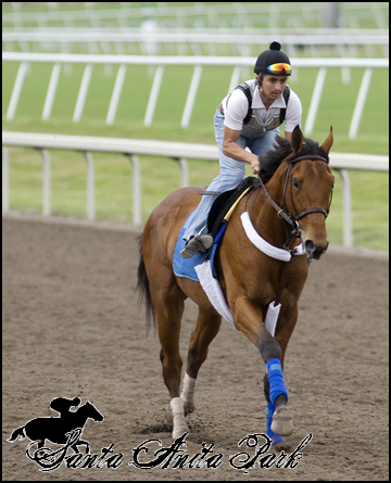 //santa-anita.gportal.hu/portal/santa-anita/image/gallery/1279026719_93.png