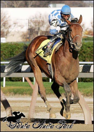 //santa-anita.gportal.hu/portal/santa-anita/image/gallery/1279027014_89.png