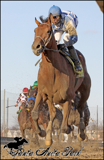 //santa-anita.gportal.hu/portal/santa-anita/image/gallery/1279027050_79.png