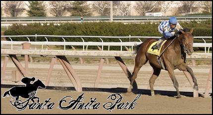 //santa-anita.gportal.hu/portal/santa-anita/image/gallery/1279027069_68.png