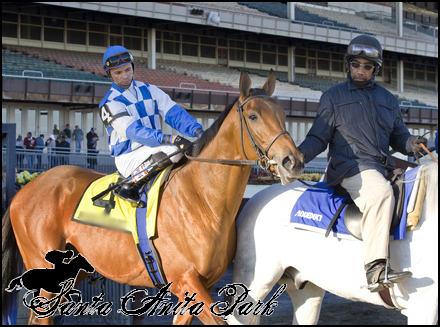 //santa-anita.gportal.hu/portal/santa-anita/image/gallery/1279027141_52.png