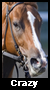 //santa-anita.gportal.hu/portal/santa-anita/image/gallery/1279046628_21.png